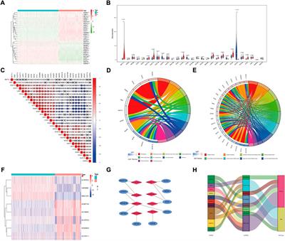 M7G-related LncRNAs: A comprehensive analysis of the prognosis and immunity in glioma